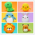 Beginner Crochet Kit - DIY Amigurumi Starter Set